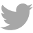 Twitter icon